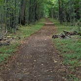 Review photo of Portage Bay State Forest Campground by Jay W., April 12, 2026