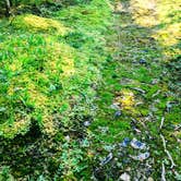 Review photo of Portage Bay State Forest Campground by Jay W., April 12, 2026