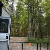 Review photo of Spruce Rustic Campground — Rifle River Recreation Area by Kimberly L., August 14, 2026
