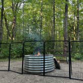 Review photo of Spruce Rustic Campground — Rifle River Recreation Area by Kimberly L., August 14, 2026
