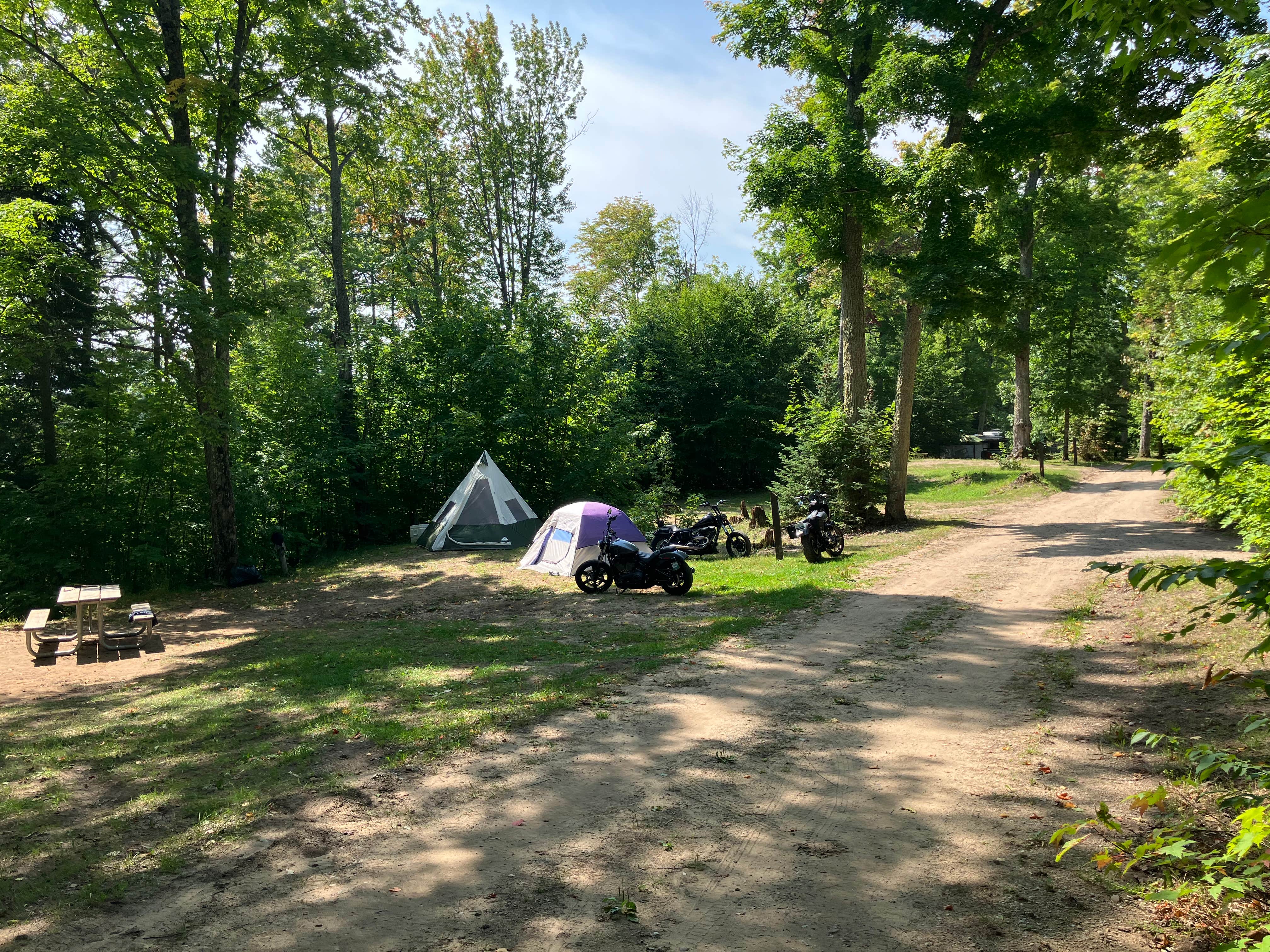 Camper submitted image from Ross Lake State Forest Campground - 4