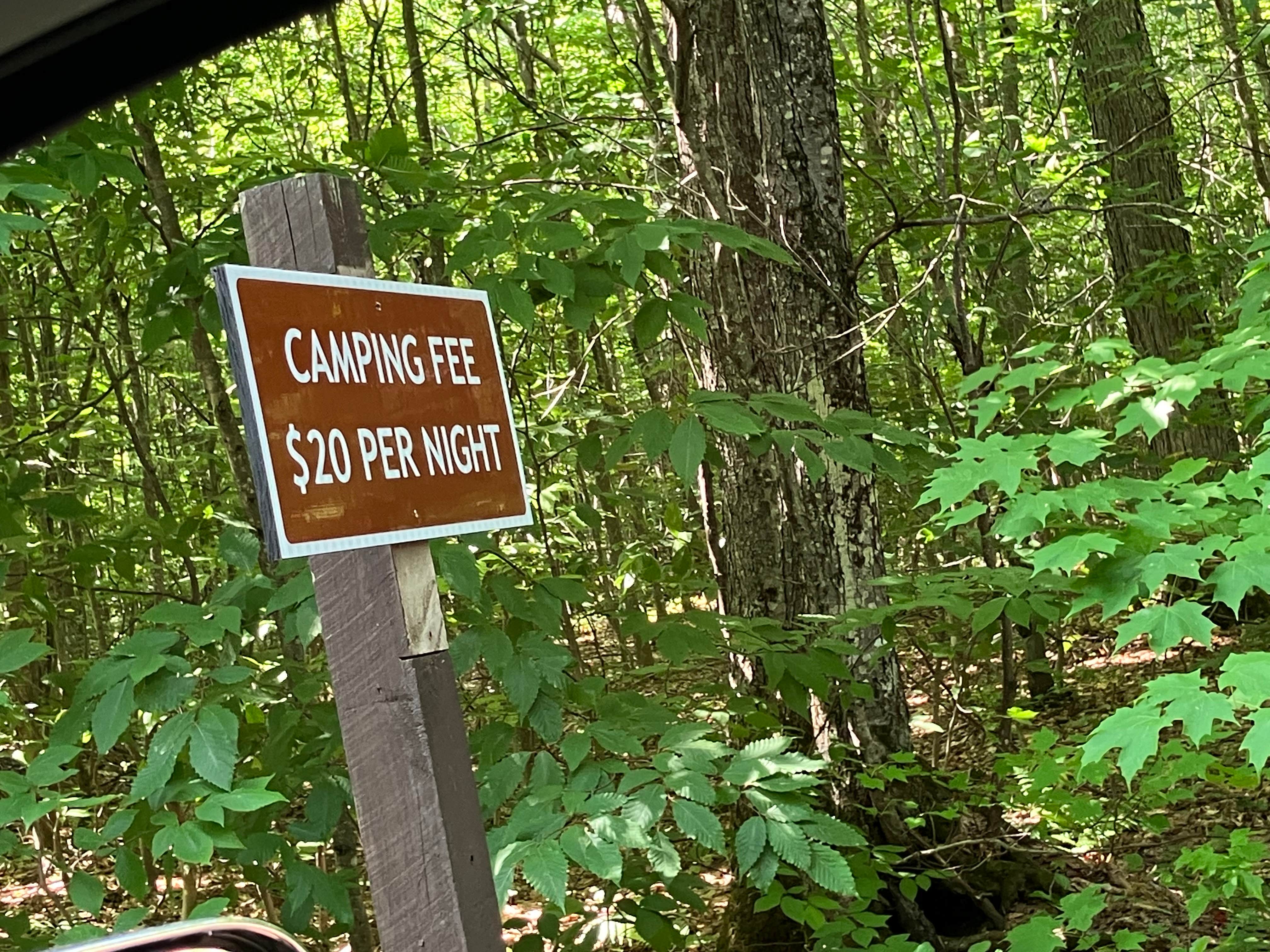 Camper-submitted photo at Ross Lake State Forest Campground near Pictured Rocks National Park