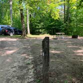 Review photo of Ross Lake State Forest Campground by Roger W., October 7, 2023