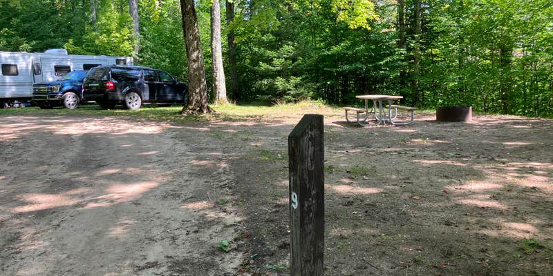 Camper submitted image from Ross Lake State Forest Campground