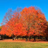 Review photo of Seven Lakes State Park Campground by Gary H., October 30, 2025