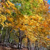 Review photo of Seven Lakes State Park Campground by Gary H., October 30, 2025