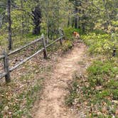 Review photo of Shoepac Lake State Forest Campground by Nicole V., May 27, 2024