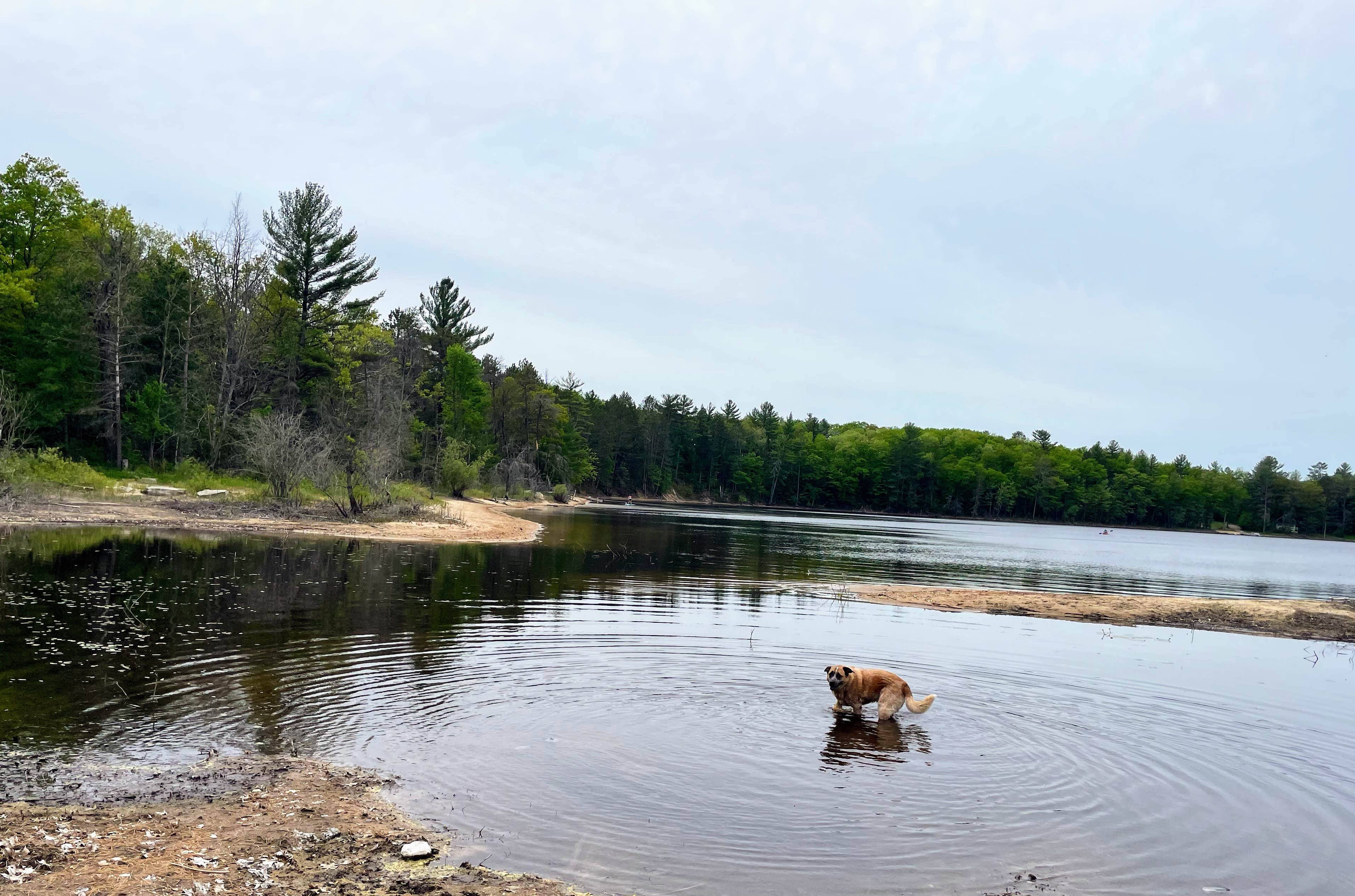 Camper-submitted photo at Shoepac Lake State Forest Campground near Mackinac Island, MI