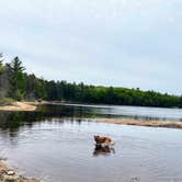 Review photo of Shoepac Lake State Forest Campground by Nicole V., May 27, 2024