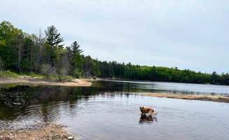 Nicole V.'s photo of camping with pets at Shoepac Lake State Forest Campground near Lewiston, MI