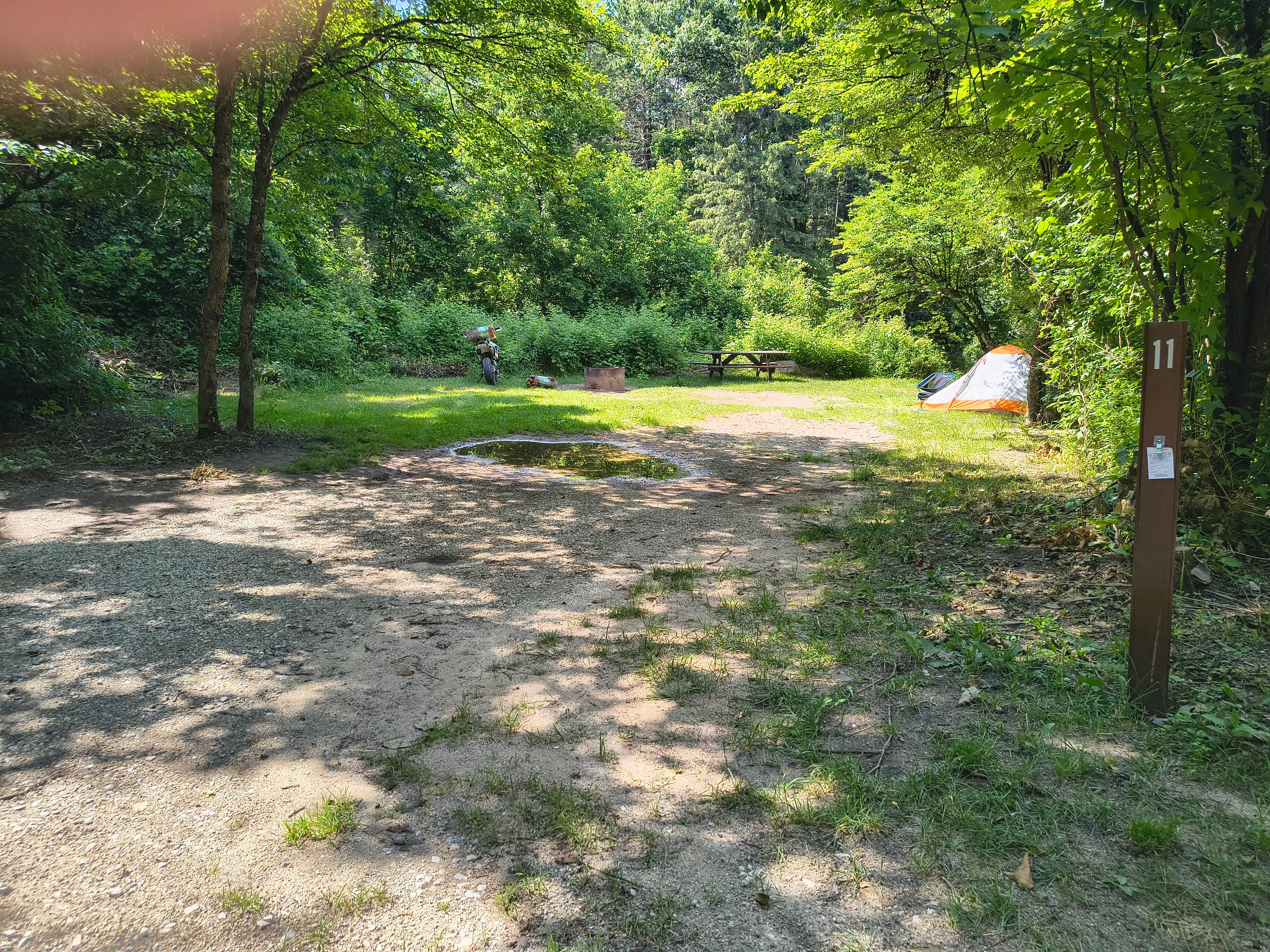 Ronnie G.'s photo of camping with pets at Silver Creek State Forest Campground near Wellston, MI