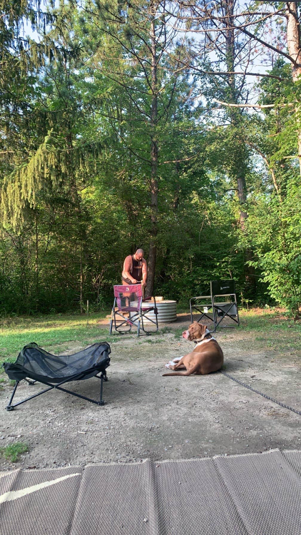 Rachel P.'s photo of camping with pets at Sleepy Hollow State Park Campground near Corunna, MI