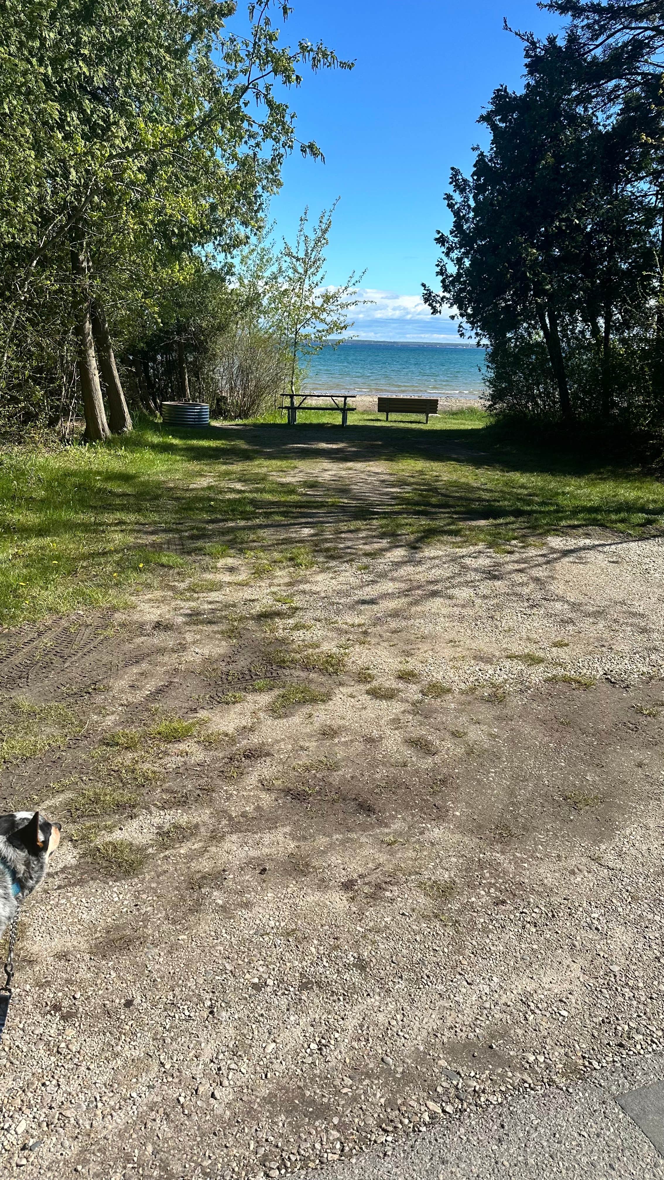 Shelly S.'s photo of camping with pets at Straits State Park Campground in Michigan