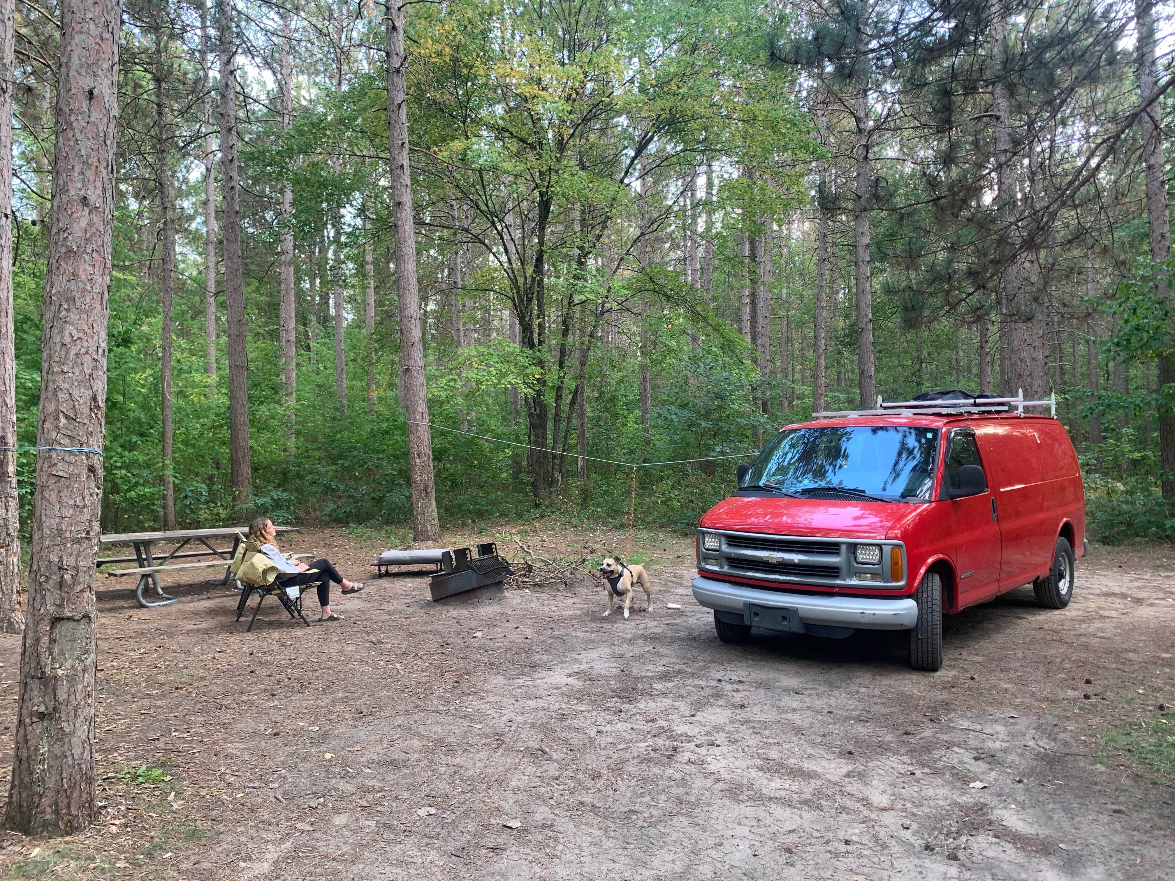 Hunter G.'s photo of camping with pets at Sulak Campground near Wellston, MI