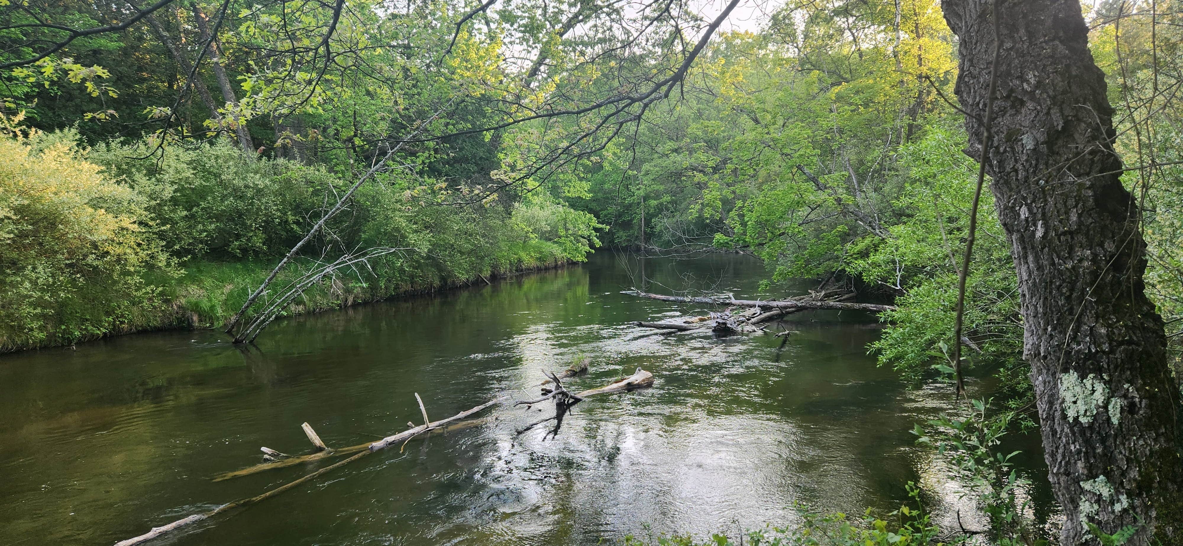 Camper-submitted photo at Sulak Campground near Custer, MI