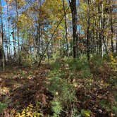 Review photo of Sulak Campground by Ryan M., November 21, 2025