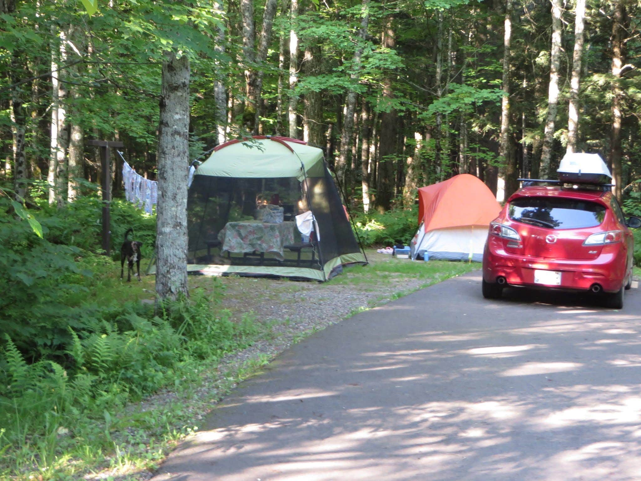 Kay K.'s photo of camping with pets at Sylvania (clark Lake) Campground near Watersmeet, MI