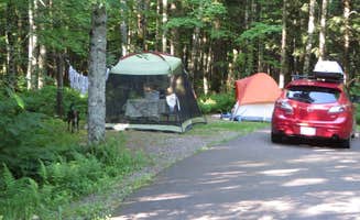Kay K.'s photo of camping with pets at Sylvania (clark Lake) Campground near White Pine, MI
