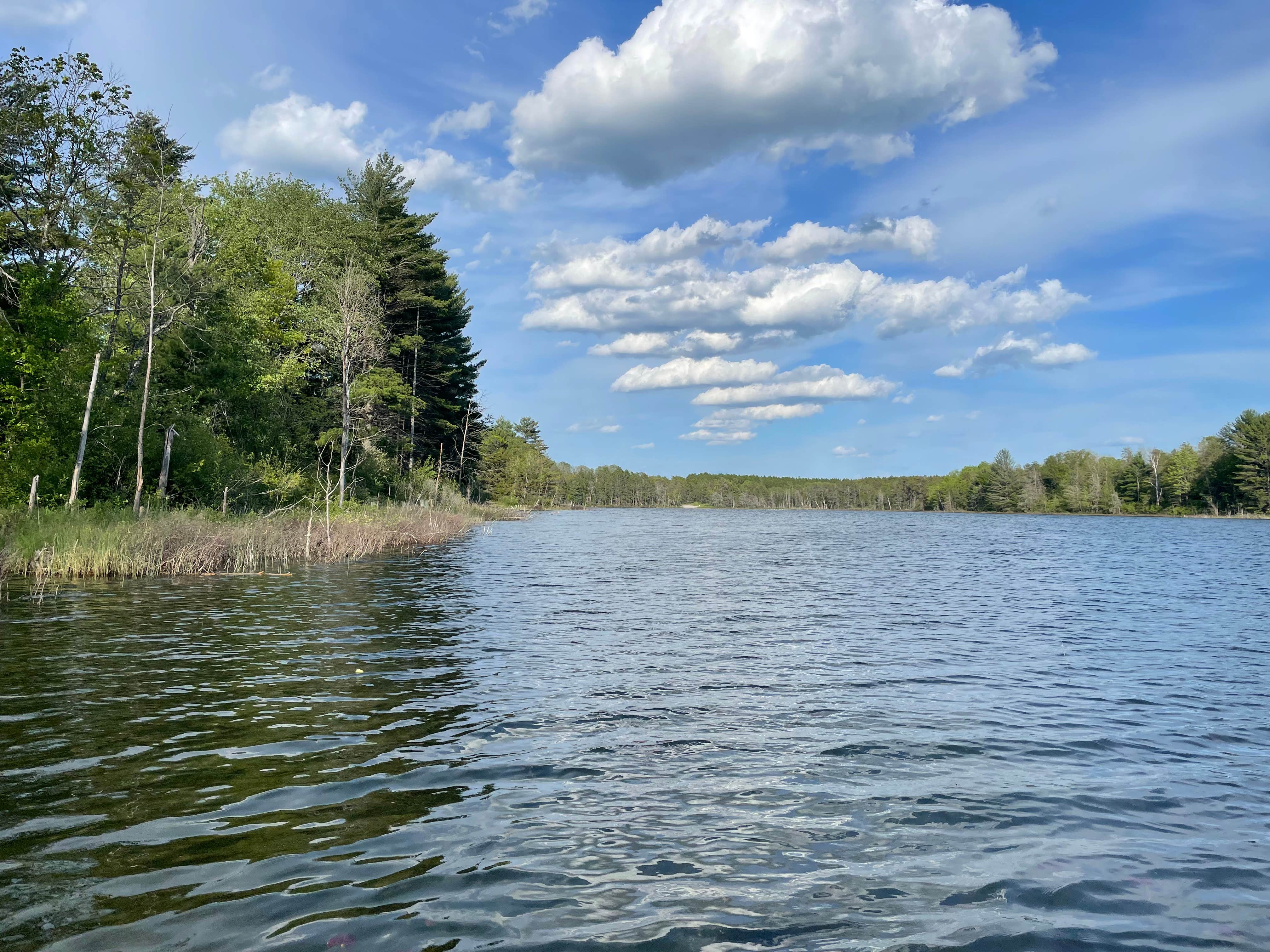 Camper-submitted photo at Tomahawk Lake State Forest Campground near Atlanta, MI