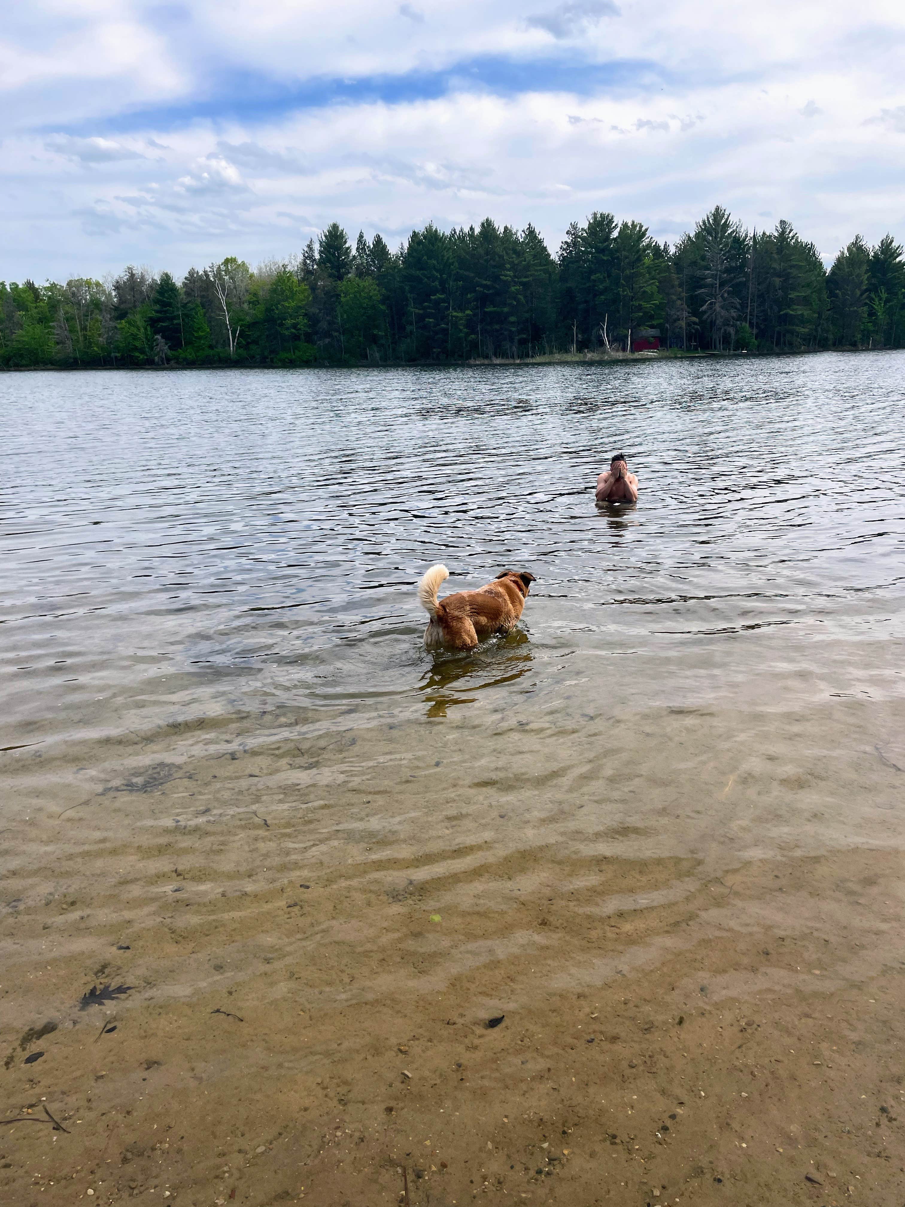 Nicole V.'s photo of camping with pets at Tomahawk Lake State Forest Campground near Onaway, MI