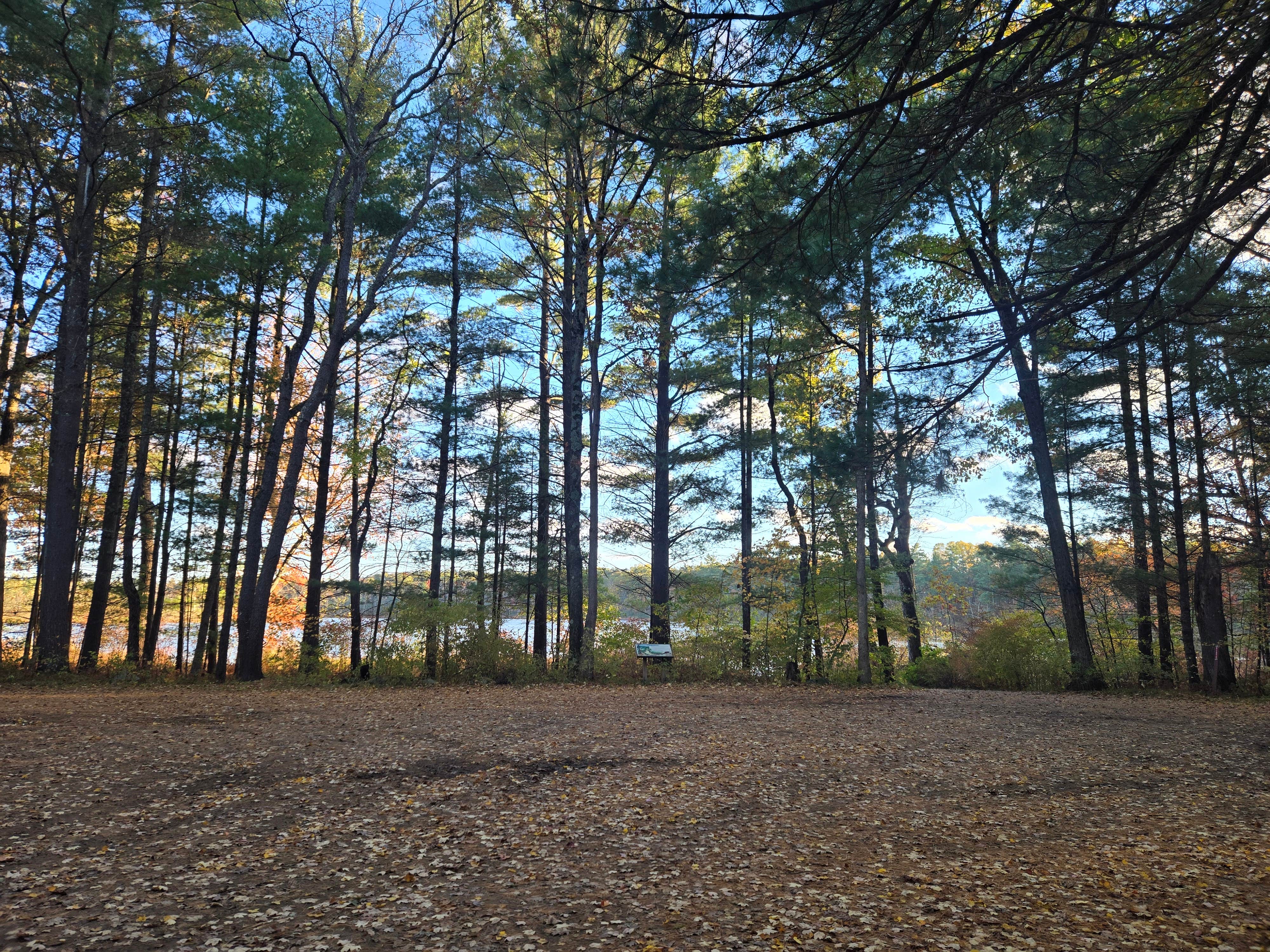 Camper-submitted photo at Twinwood Lake Campground near White Cloud, MI