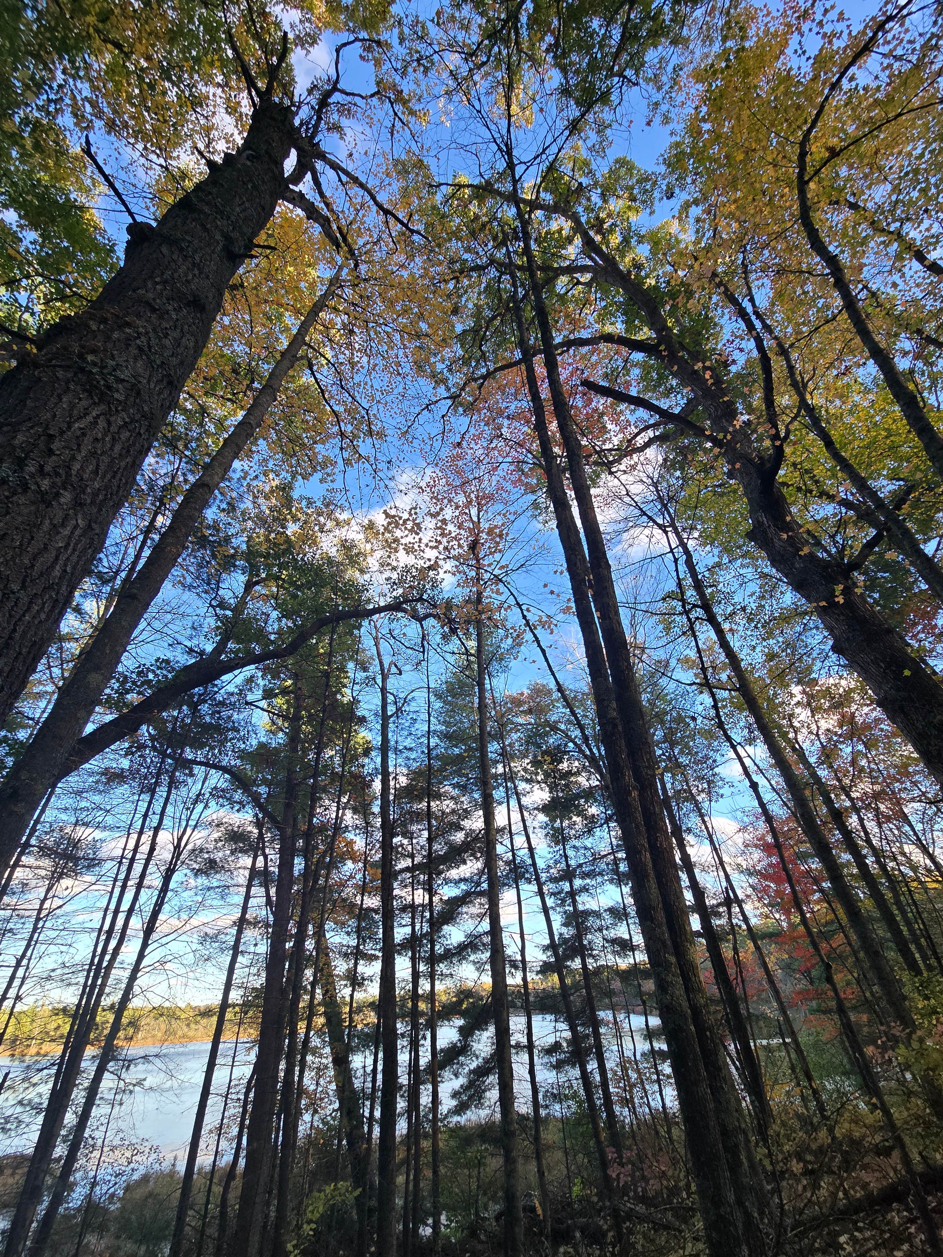 Camper-submitted photo at Twinwood Lake Campground near White Cloud, MI