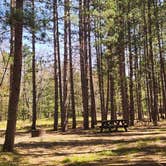 Review photo of Upper Manistee River by Lydia T., May 21, 2024