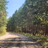 Review photo of Upper Manistee River by Lydia T., May 21, 2024