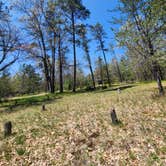 Review photo of Upper Manistee River by Lydia T., May 21, 2024