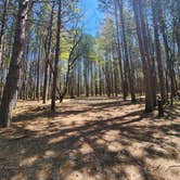 Review photo of Upper Manistee River by Lydia T., May 21, 2024