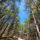 Review photo of Upper Manistee River by Lydia T., May 21, 2024