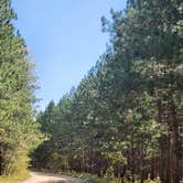 Review photo of Upper Manistee River by Lydia T., May 21, 2024