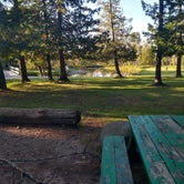 Review photo of Veterans Memorial Park Campground by Steve S., November 17, 2023
