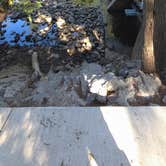 Review photo of Veterans Memorial Park Campground by haley W., August 24, 2026