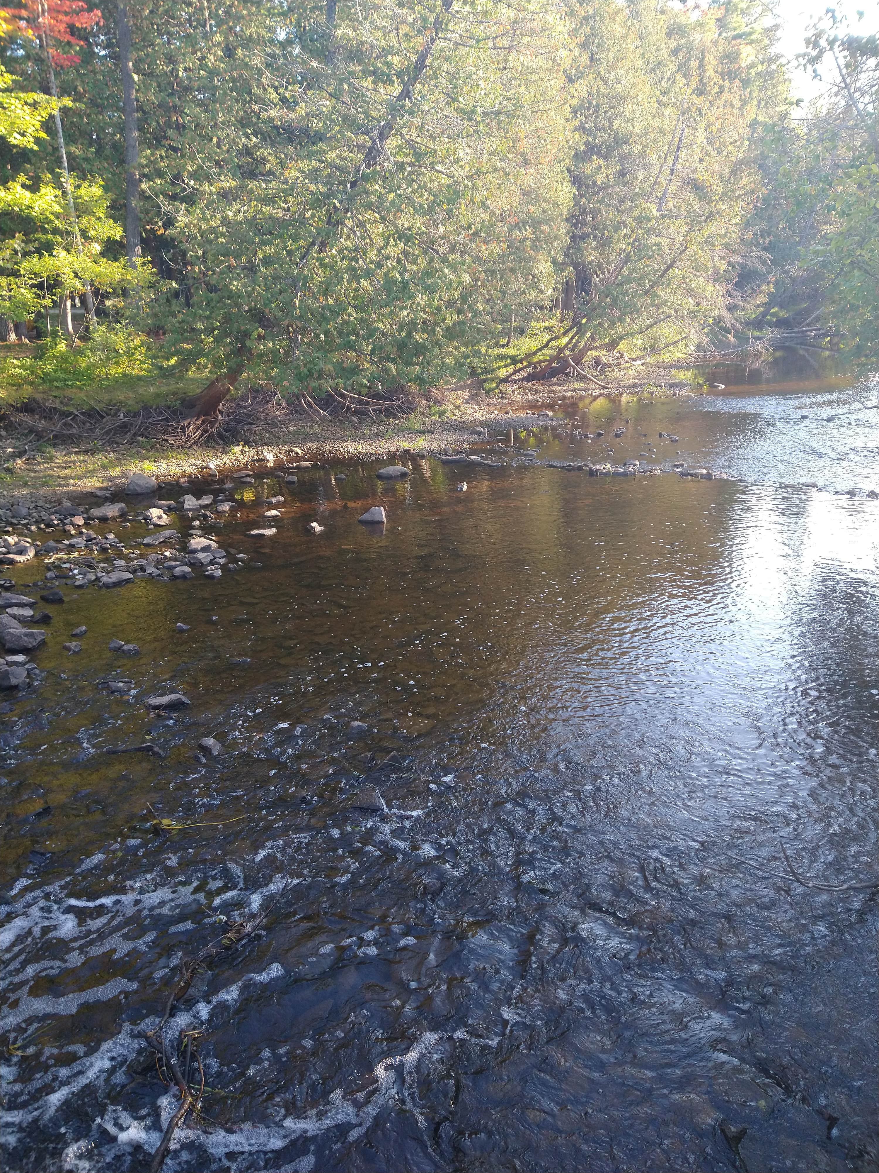 Camper-submitted photo at Veterans Memorial Park Campground near Iron Mountain, MI