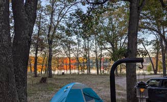 Tom W.'s photo at Walkup Lake Campground near Bitely, MI