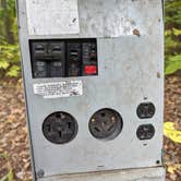 Review photo of Warren Dunes State Park Campground by Brad J., October 10, 2023