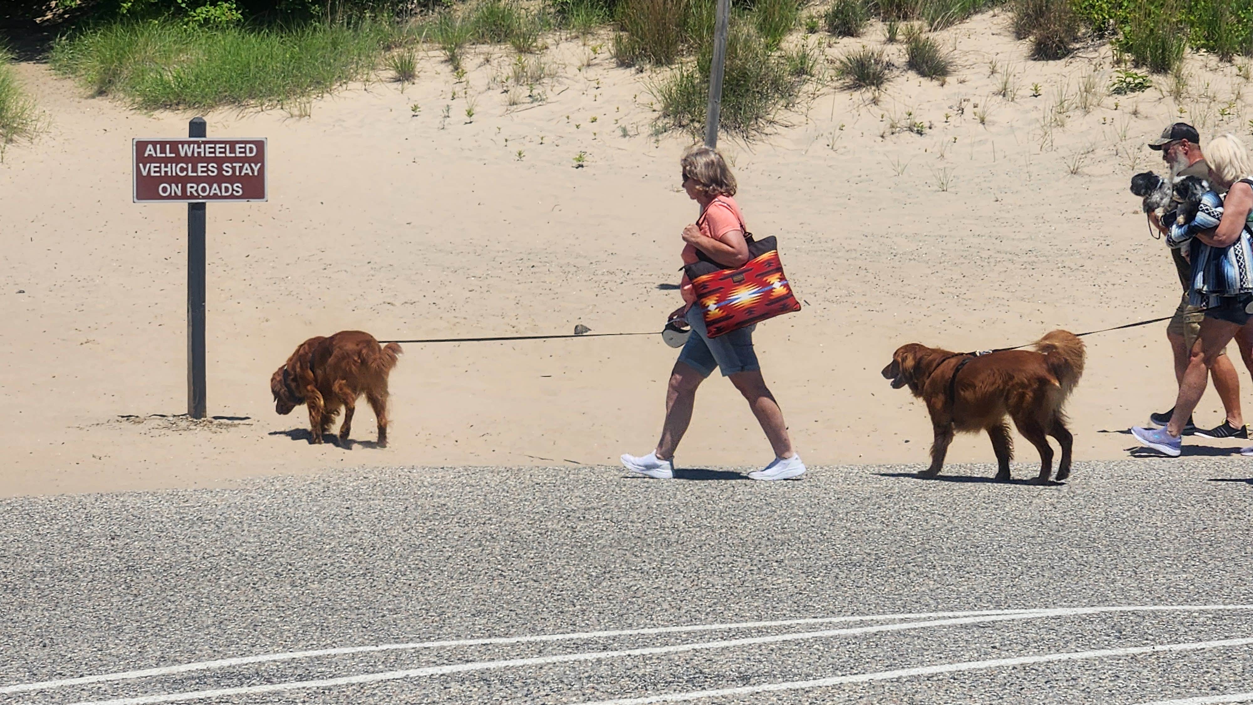 Beth C.'s photo of camping with pets at Warren Dunes State Park Campground near South Bend, IN