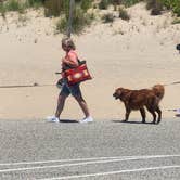 Review photo of Warren Dunes State Park Campground by Beth , June 12, 2024