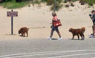 Beth C.'s photo of camping with pets at Warren Dunes State Park Campground near Union Pier, MI