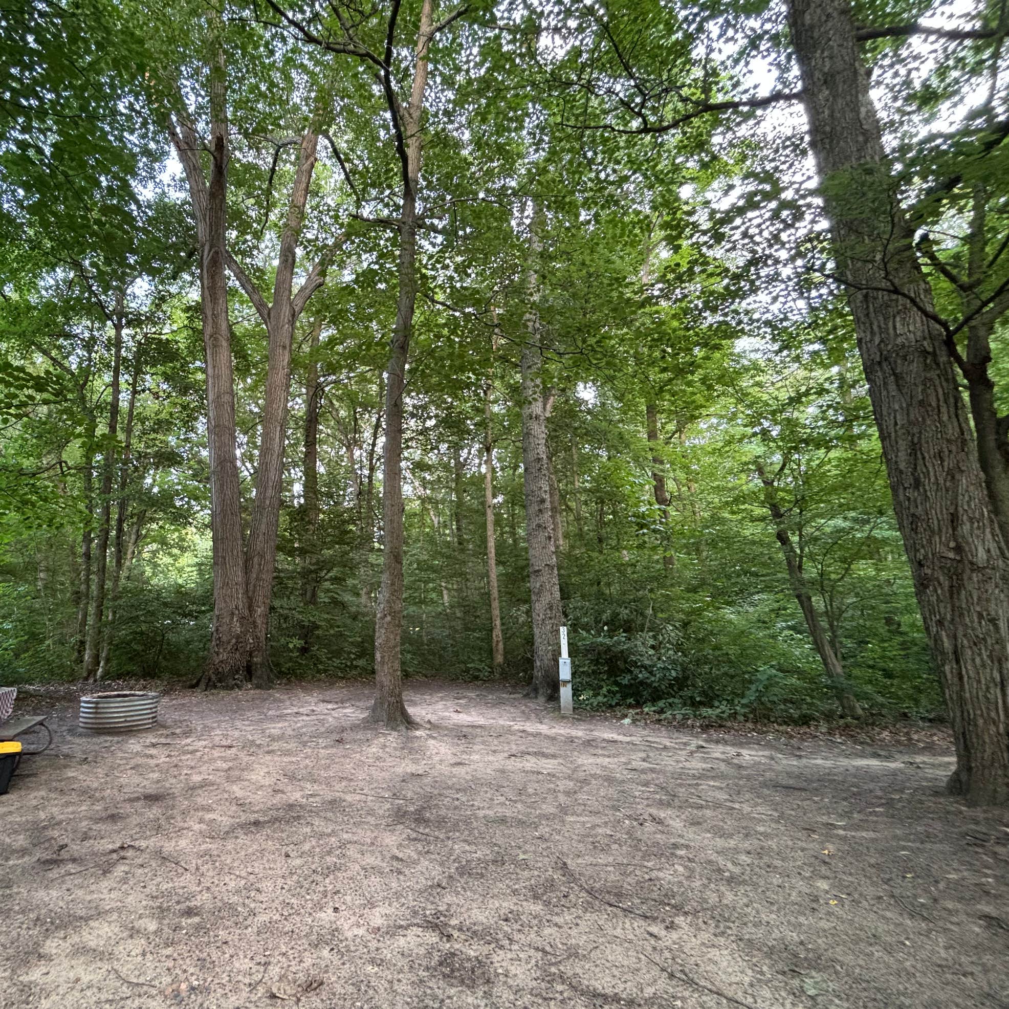 Warren Dunes State Park Campground | Bridgman, Michigan