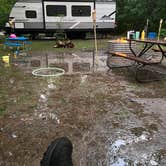 Review photo of Warren Dunes State Park Campground by J L., June 13, 2024