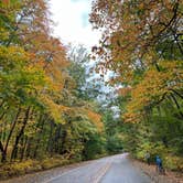 Review photo of Warren Dunes State Park Campground by Therese S., October 8, 2025