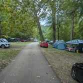 Review photo of Warren Dunes State Park Campground by Brad J., October 10, 2023