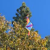 Review photo of Wilderness State Park Camping by Ursula , October 13, 2026
