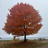 Review photo of Wilderness State Park Camping by Ursula , October 13, 2026