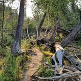 Review photo of Young State Park Campground by Amy D., September 14, 2024