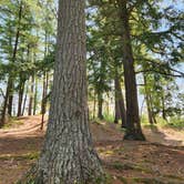 Review photo of Young State Park Campground by Lydia T., July 1, 2024