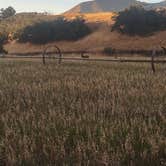 Review photo of Middle Canyon Campground by Kindra C., June 10, 2026