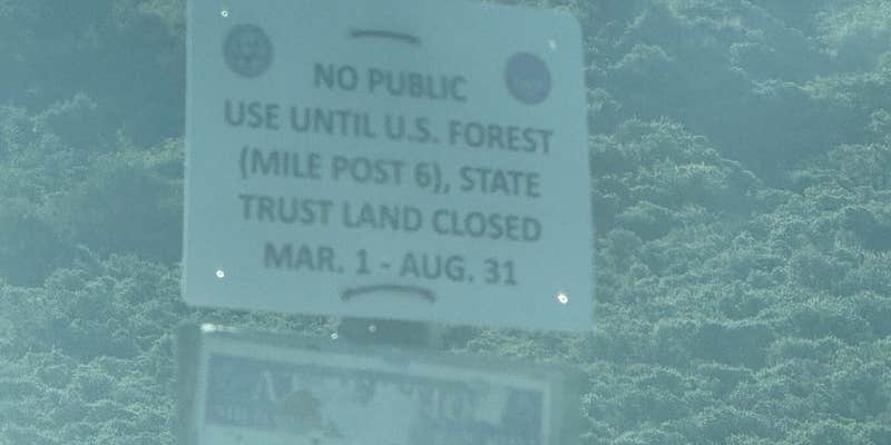 Camper submitted image from Middle Carter Mountain